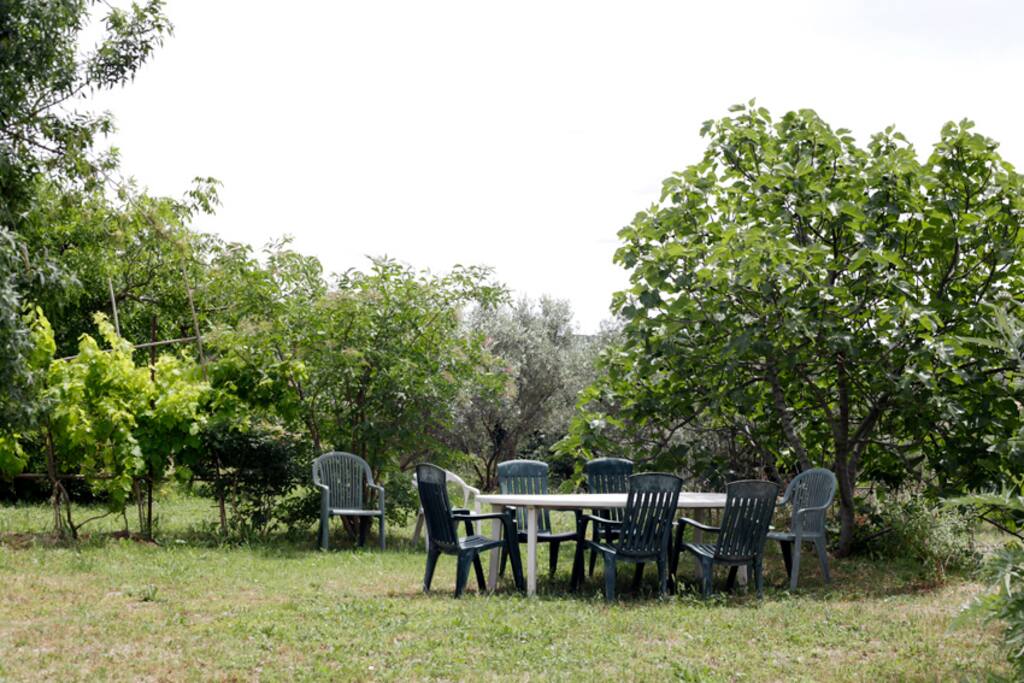 devant la maison espace ombragé