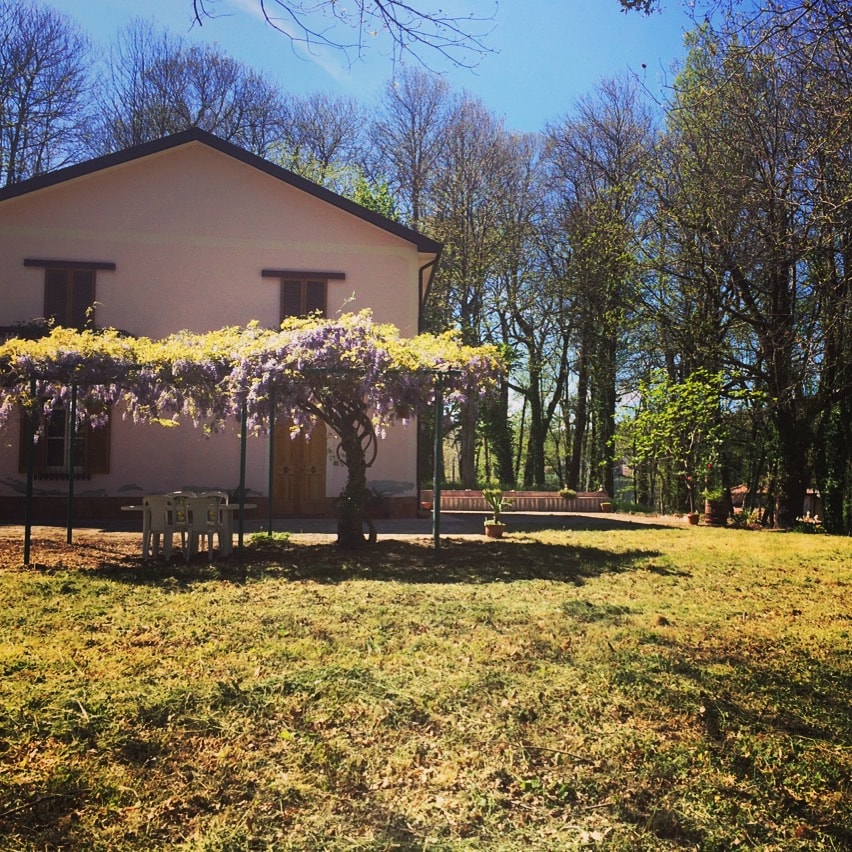 A charming exterior of the B&B is framed by lush trees and sunlit grass. A pergola covered with flowering vines provides shade over a small table and chairs, inviting guests to enjoy the natural surroundings.