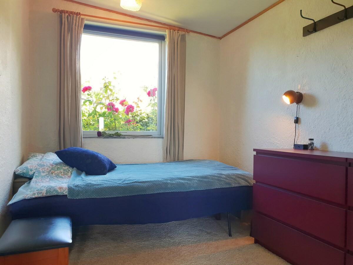 חדר שינה עם ספה נפתחת