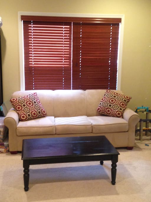 First floor den / bedroom - Queen pull out couch.