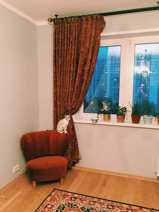 This is a lease room and our first cat