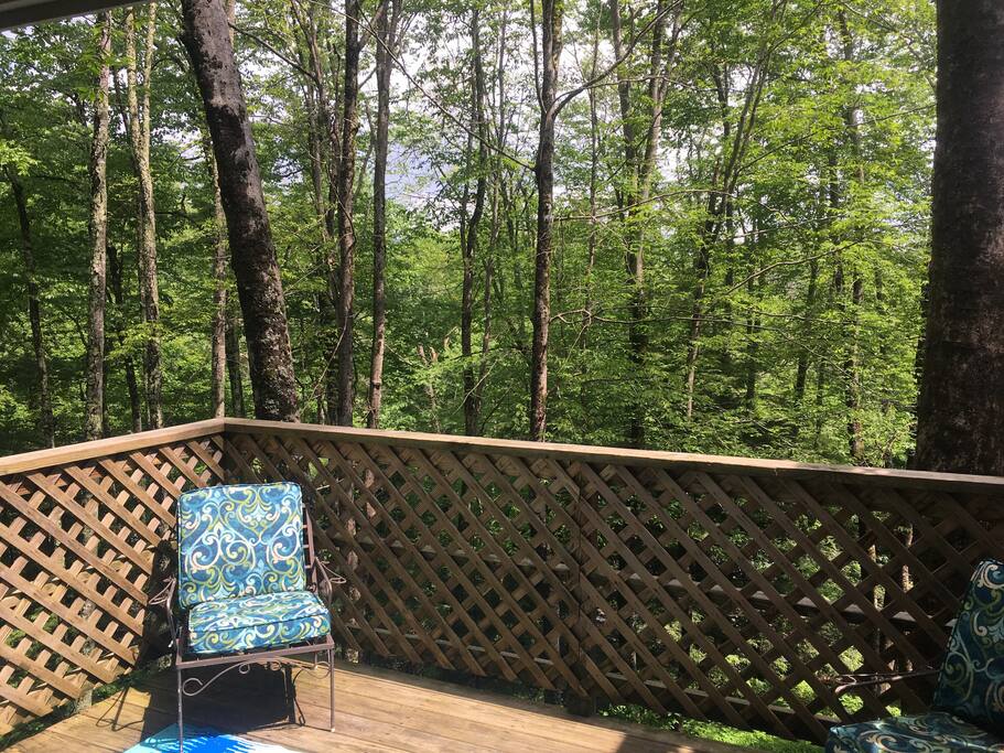 View from the porch