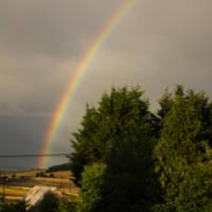 Munlochy bay - taken from bedroom