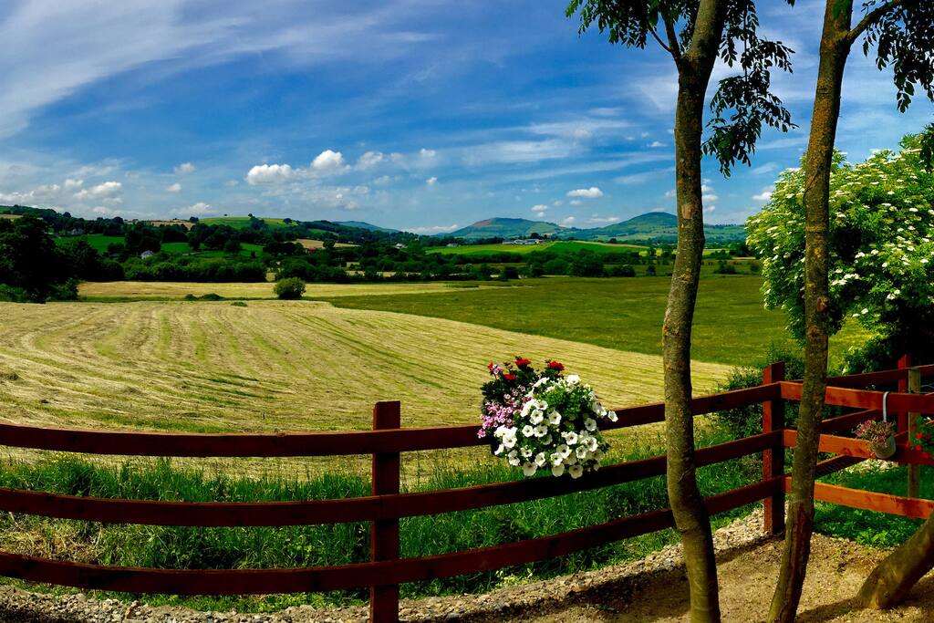 Idyllic c19th cottage in the heart of Ireland Cottages for Rent in