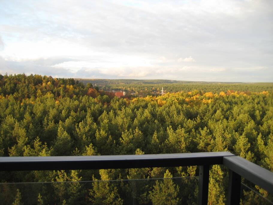 The view you can enjoy all year around. 15 minutes walk down the street through the forest and you reach river Neris.