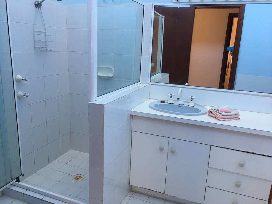 Seperate large bathroom with bath tub