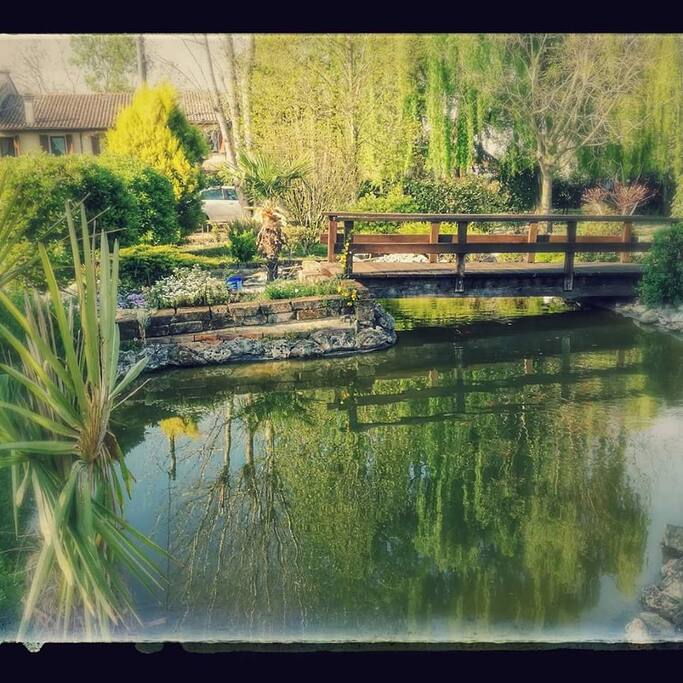 Laghetto nel giardino/fish pond