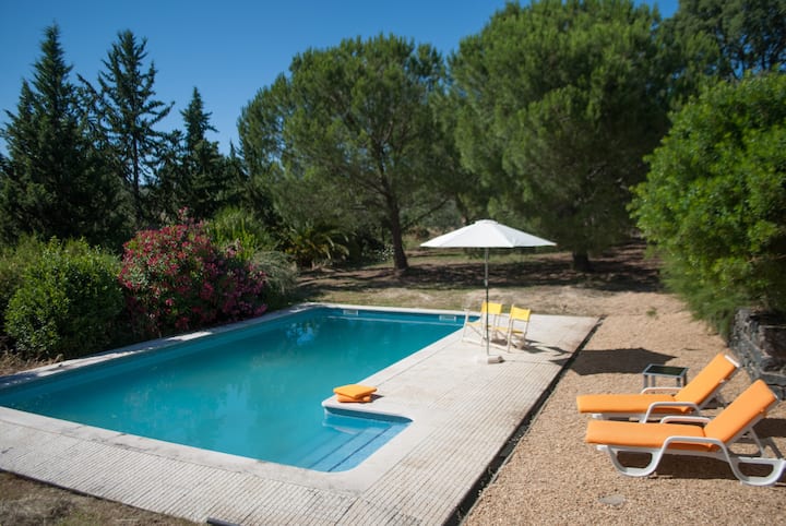 Quinta de Santa Clara, Alentejo - pool and field