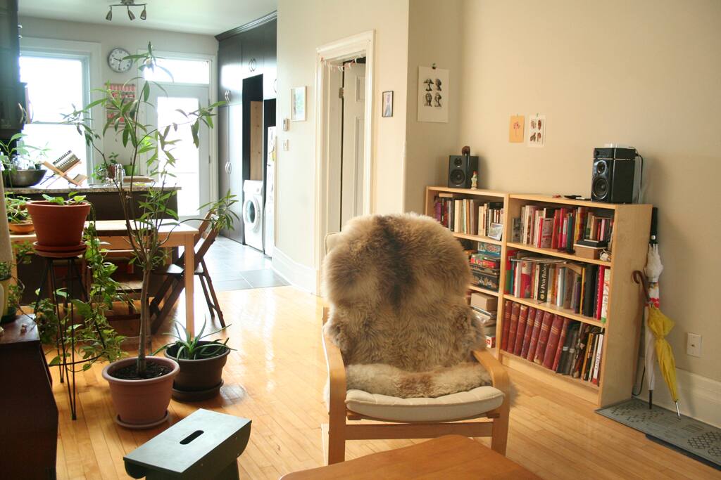 Salon/salle à manger et cuisine au fond
