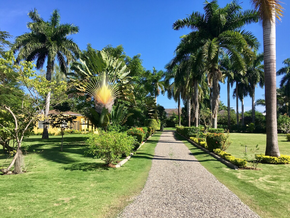 A gravel pathway leads through a well-manicured garden surrounded by tall palm trees and lush tropical plants. Colorful foliage adds vibrancy to the landscape, with the yellow structure of the villa visible in the background beneath a clear blue sky.