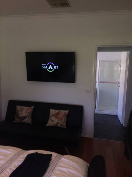 Smart TV with Netflix and Stan