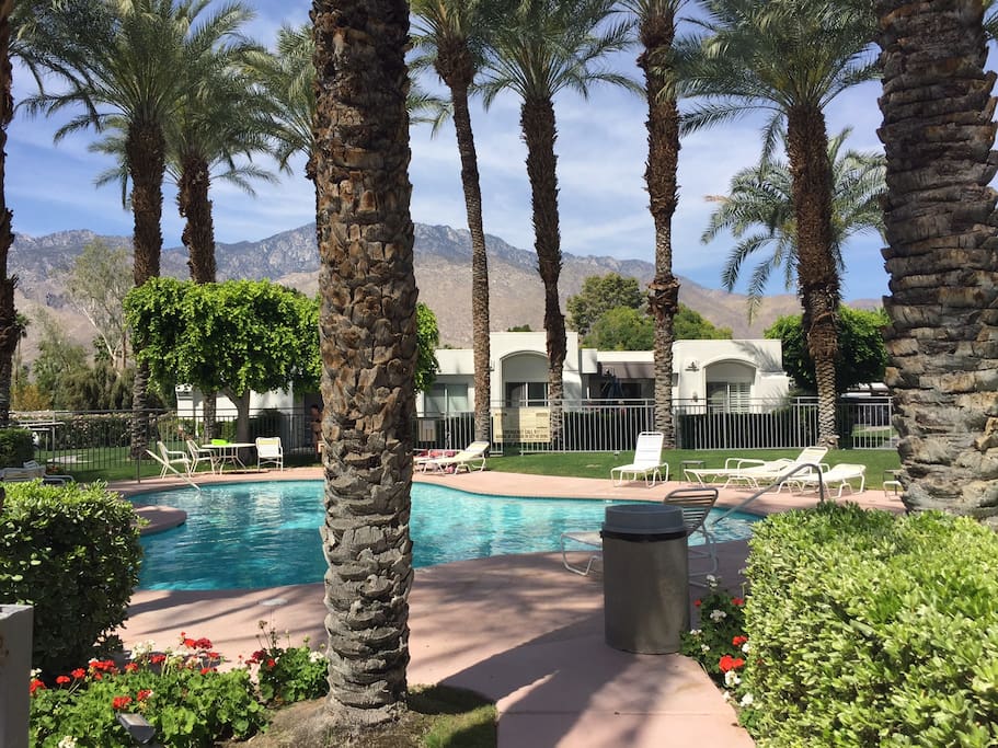 beautifully landscaped pool/spa