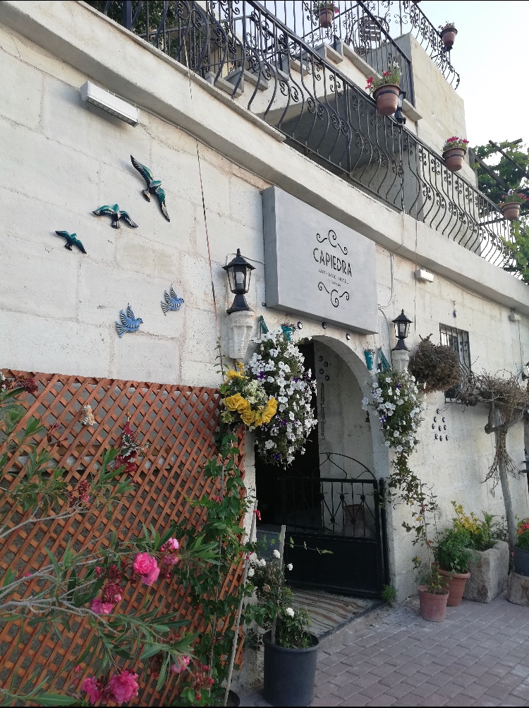 A charming entrance features a stone façade with decorative lanterns and vibrant potted plants. Colorful birds are affixed to the wall, while flowers spill from planters. An arched doorway leads into the interior, creating an inviting first impression.