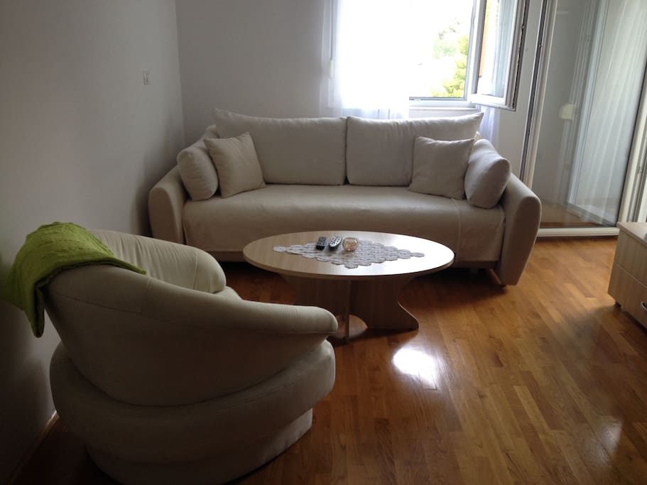 Living room - the couch pulls out into a bed