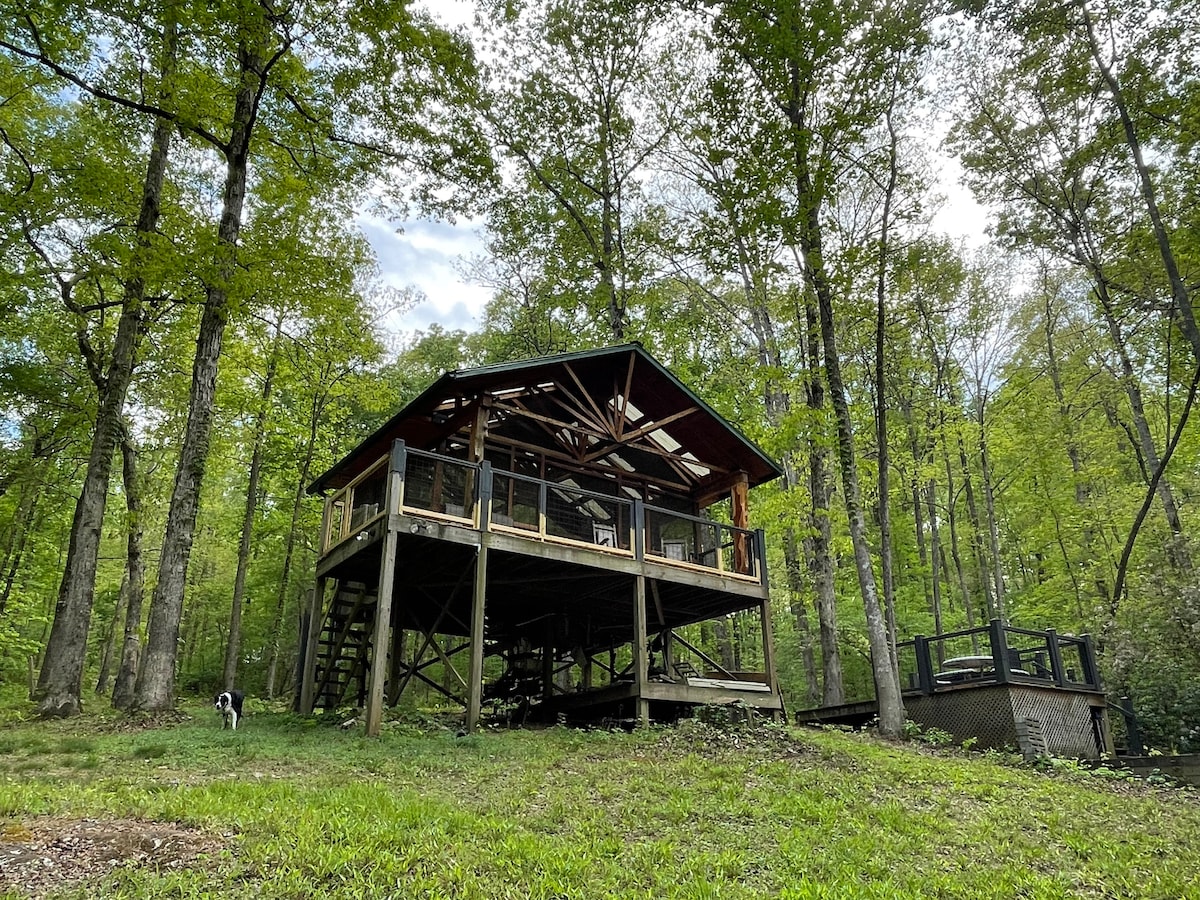 The cabin is elevated on a wooden foundation, surrounded by lush green trees that fill the scene. A spacious deck with railings offers shaded outdoor seating, while a pathway leads to a separate structure nearby. A grassy area is visible in the foreground.