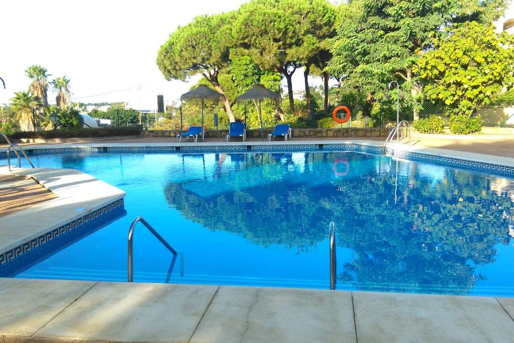 The pool in the morning