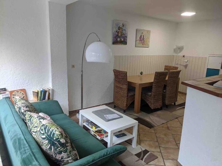 Uninähe - Schöne Und Große Wohnung - Saarbrücken