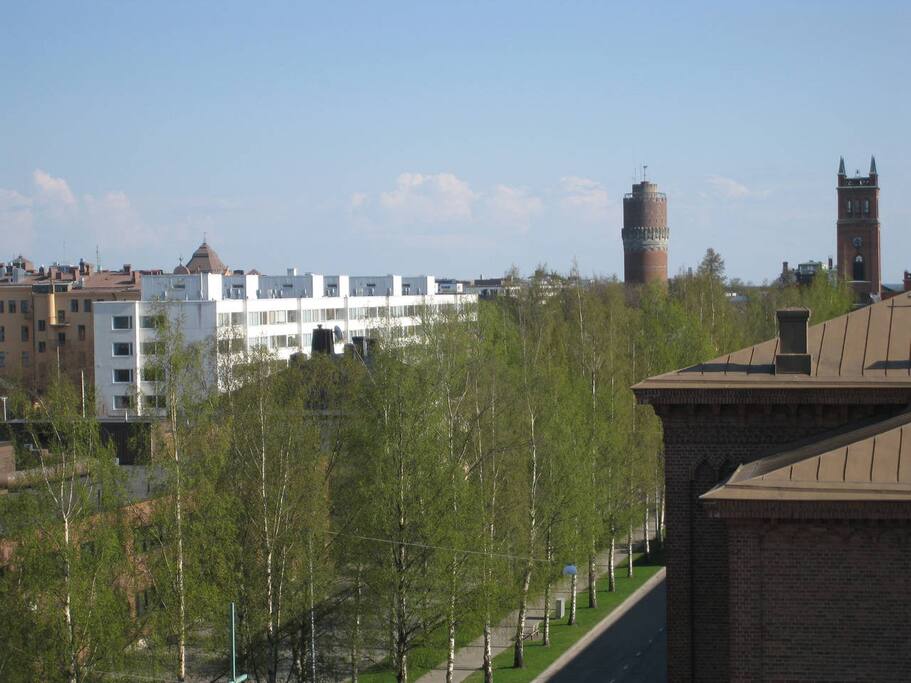 Beautiful view in spring
