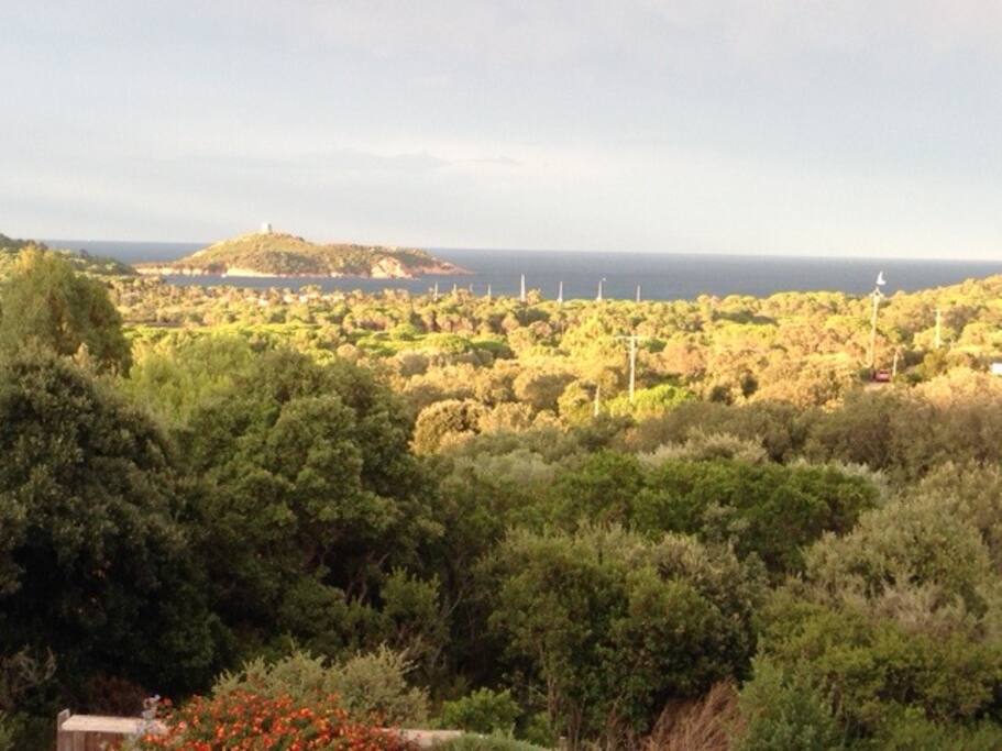 Vue de la terrasse.