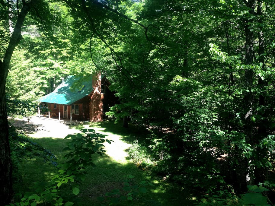 The cabin in summer