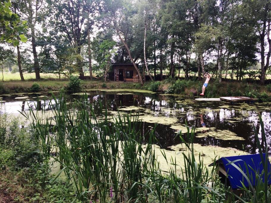 Teich, Baden möglich!
