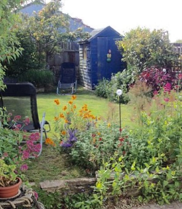 Back garden