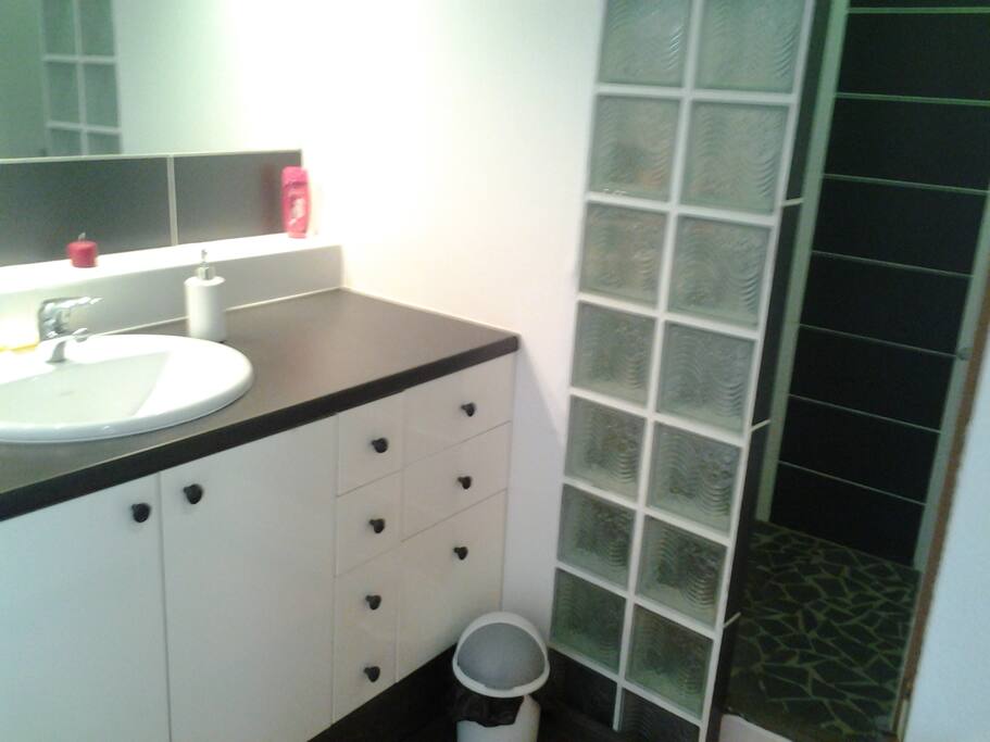 Salle de bain avec douche à l'italienne