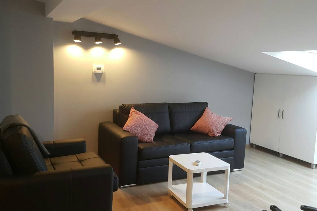 Bright and spacious studio flat. 180cm Sofa bed that can sleep up to 2 ppl