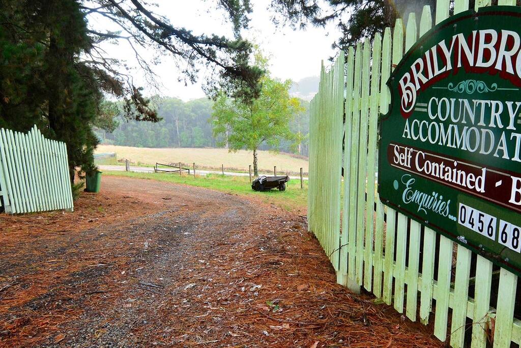 Welcome to Brilynbrook