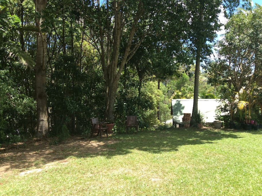 Backyard