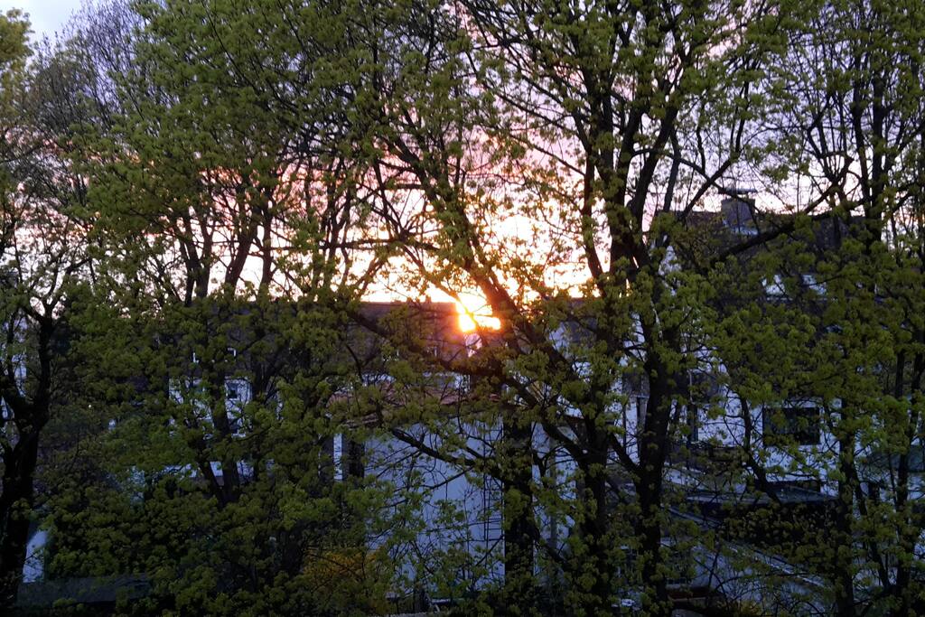 Blick vom Balkon / view balcony