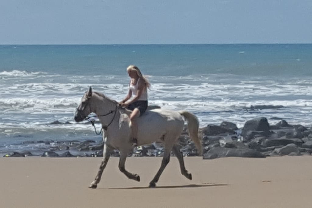 Horse riding on the beach!