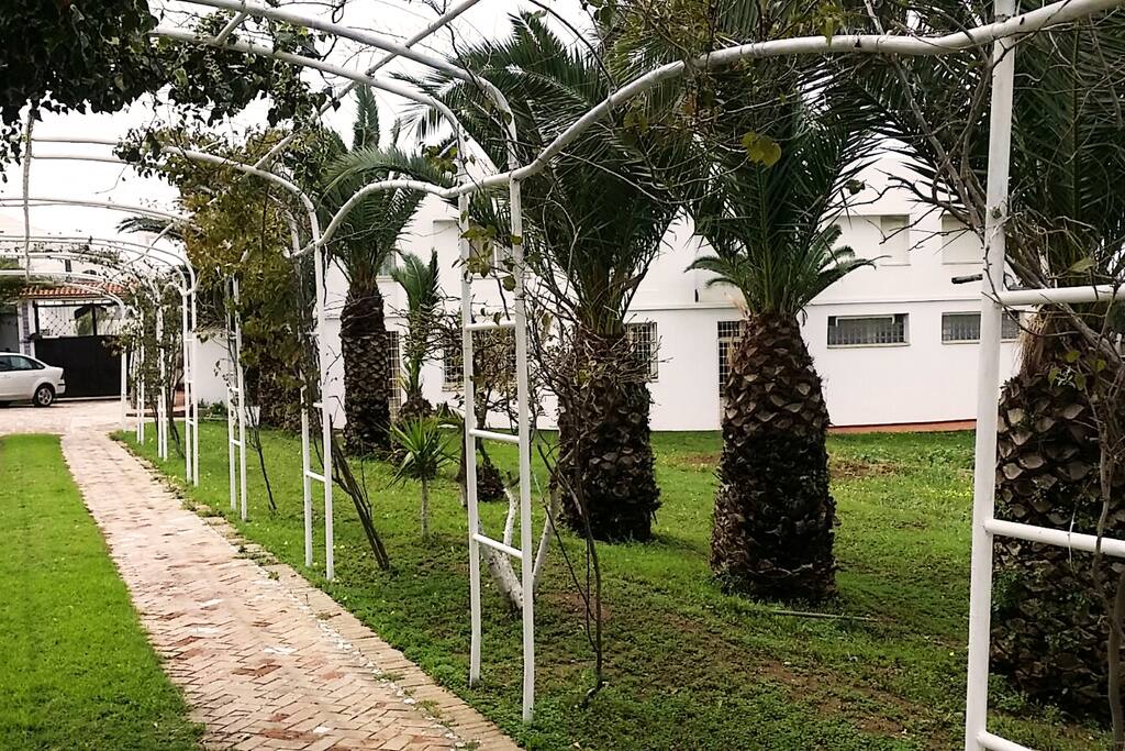 Le jardin et la place de stationnement