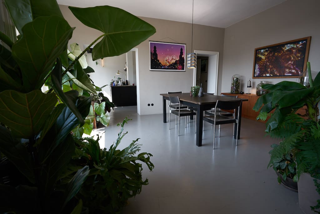 60m² connected living room, dining room and kitchen