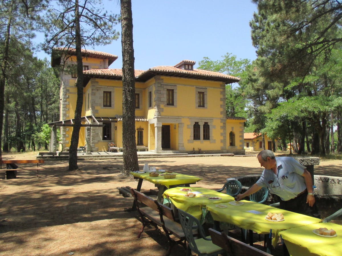 The image showcases a charming two-story house with yellow walls and a rustic design, surrounded by tall trees. A long dining table covered with a vibrant yellow tablecloth is set outside, with chairs arranged nearby. The inviting outdoor space is enhanced by sunlight filtering through the tree canopy.