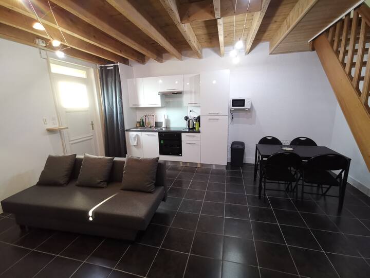 Appartement Chaleureux Proche De La Gare - Ambérieu-en-Bugey