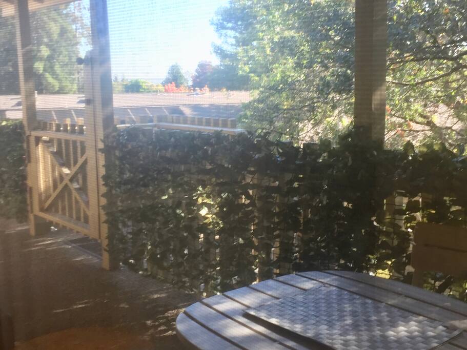 Patio 1