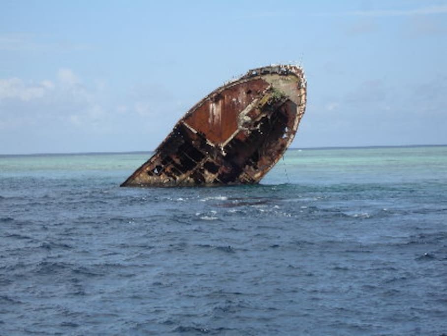 Shipwreck, diving point
