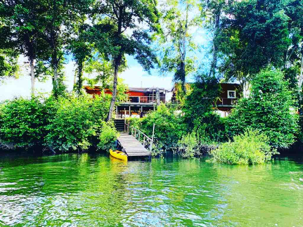 The lodge is nestled among lush greenery along the riverbank, with a wooden dock extending into the water. A kayak is anchored near the edge, and bright sunlight filters through the trees, illuminating the vibrant surroundings.