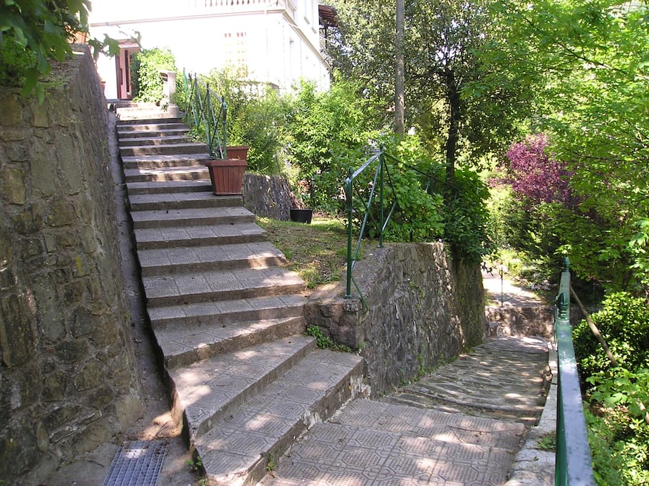 Wide garden