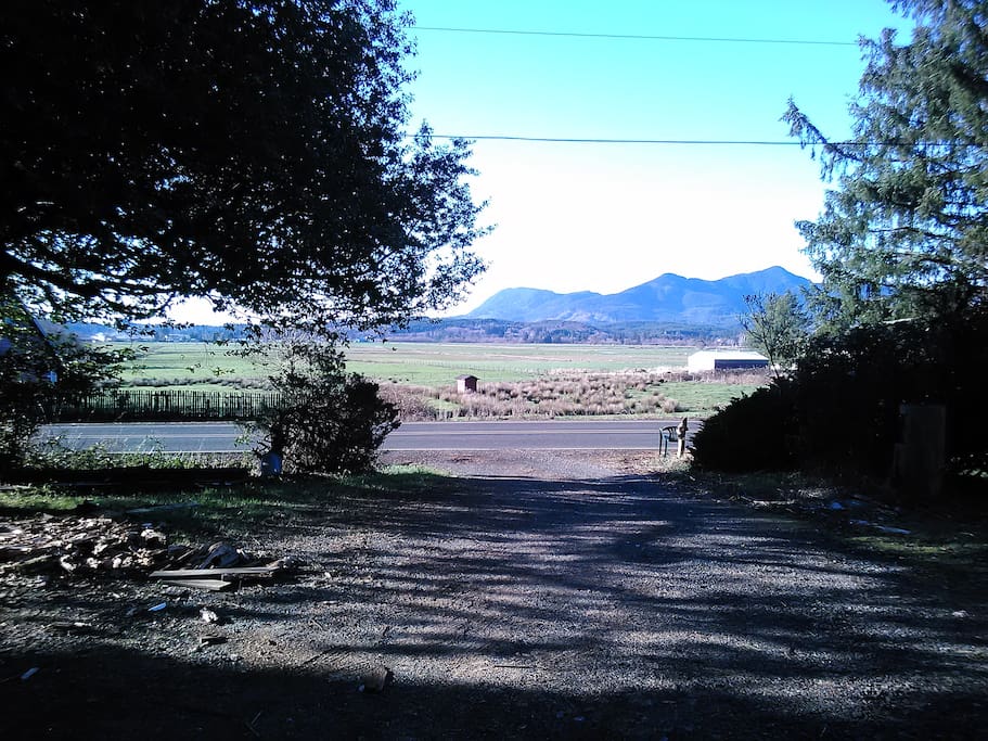 Looking out the driveway toward Neah Kah Nie mountain