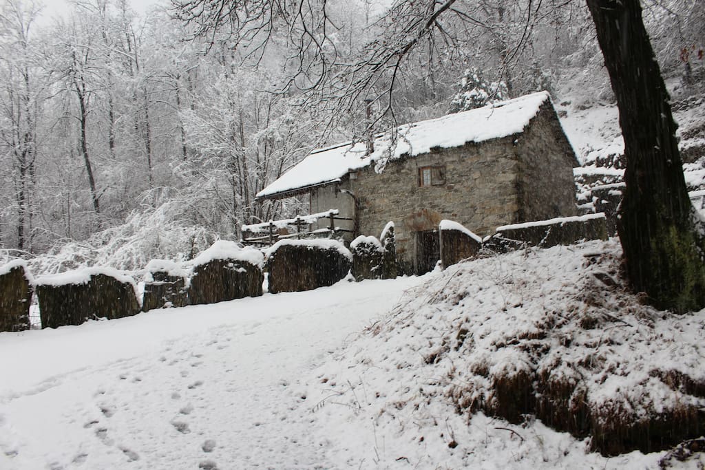Winter