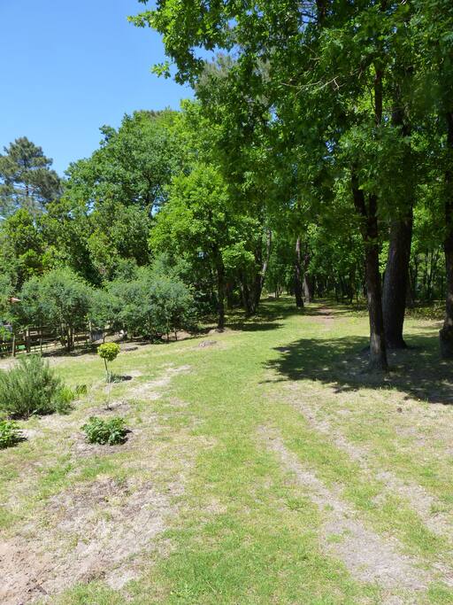 Jardin derrière la maison
