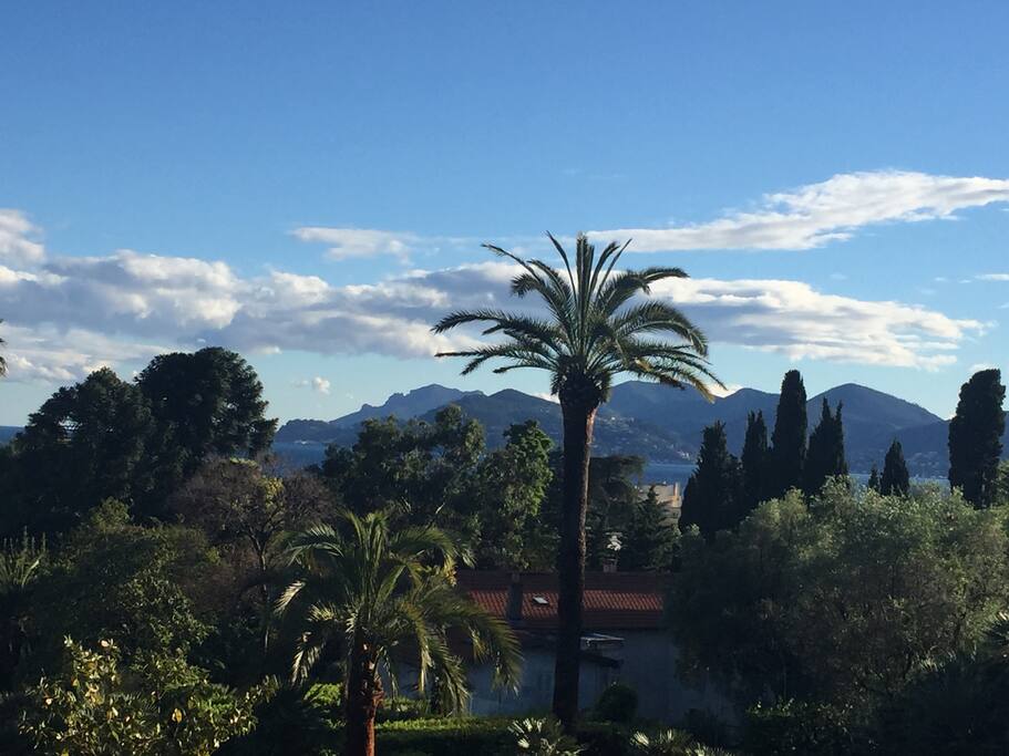 View from the balcony