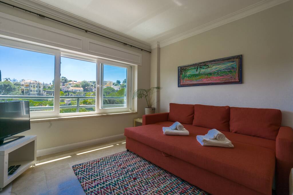 Living room with sofa bed open
