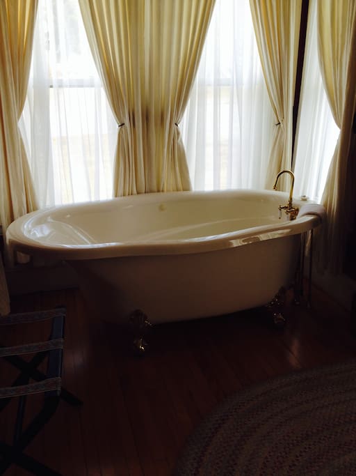 Claw Foot Jacuzzi Tub in the room