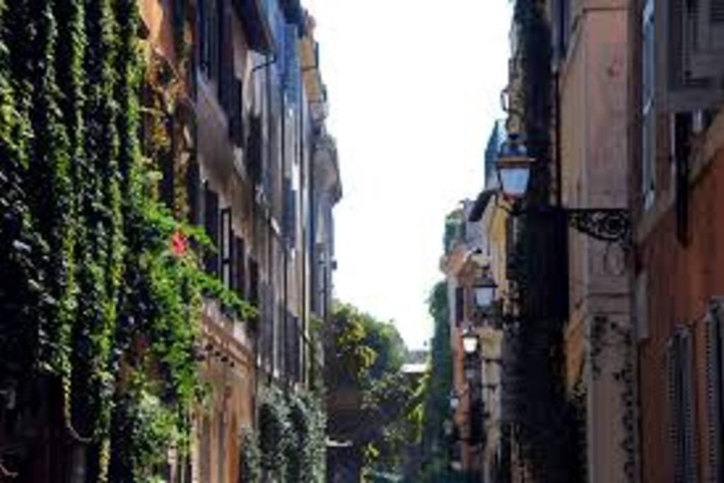 Via Margutta apartment area