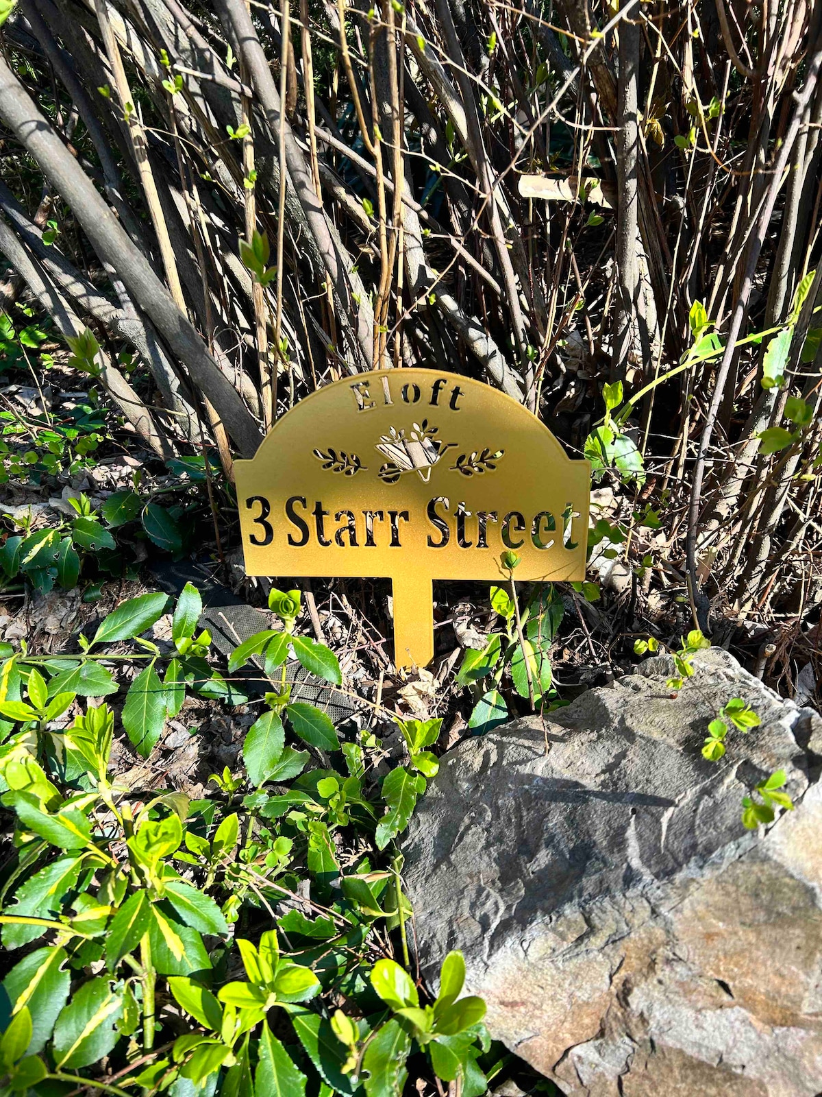 Eloft Apartment Wolfville Apartments for Rent in Wolfville, Nova