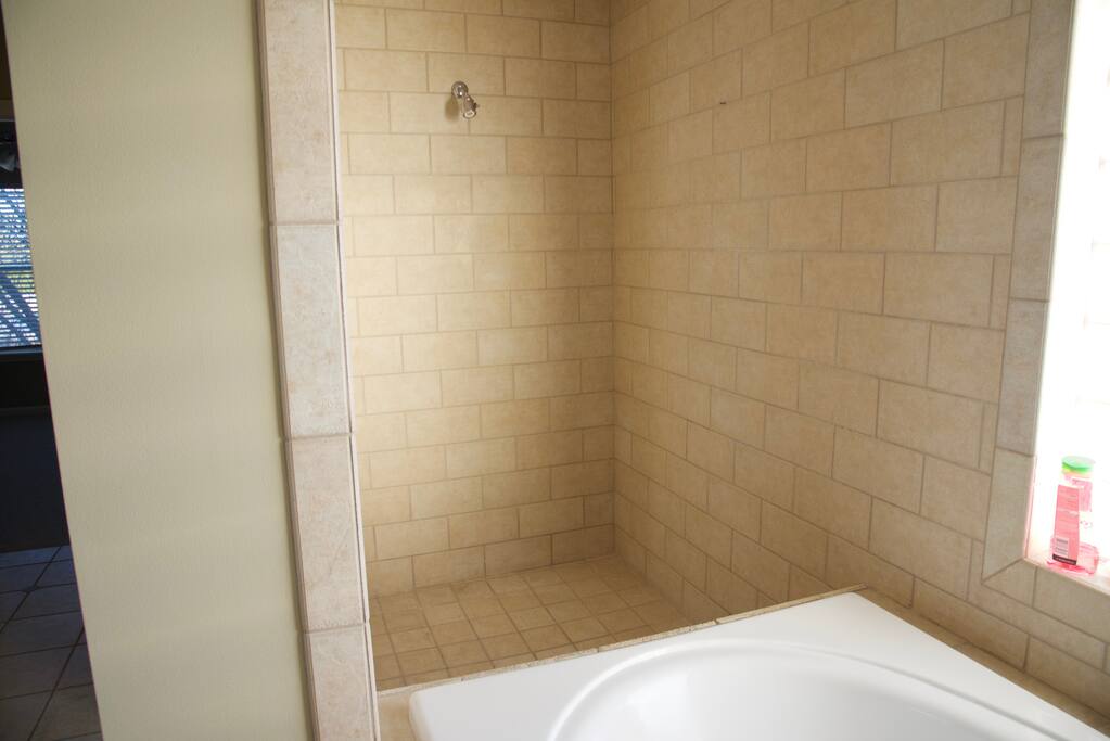 Master bathroom shower
