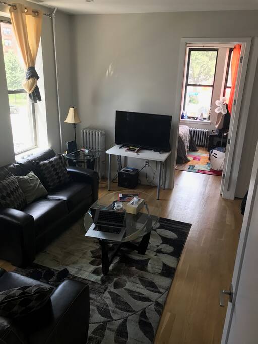 3-bedroom apartment with two clean, professional, and accommodating roommates.